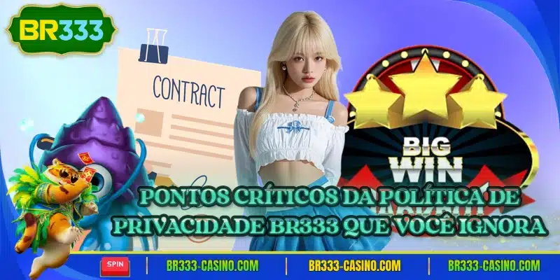 Pontos criticos da politica de privacidade br333 que voce ignora